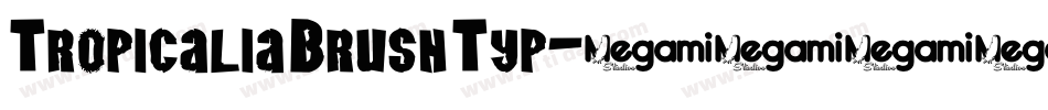 Tropicalia Brush Typ字体转换